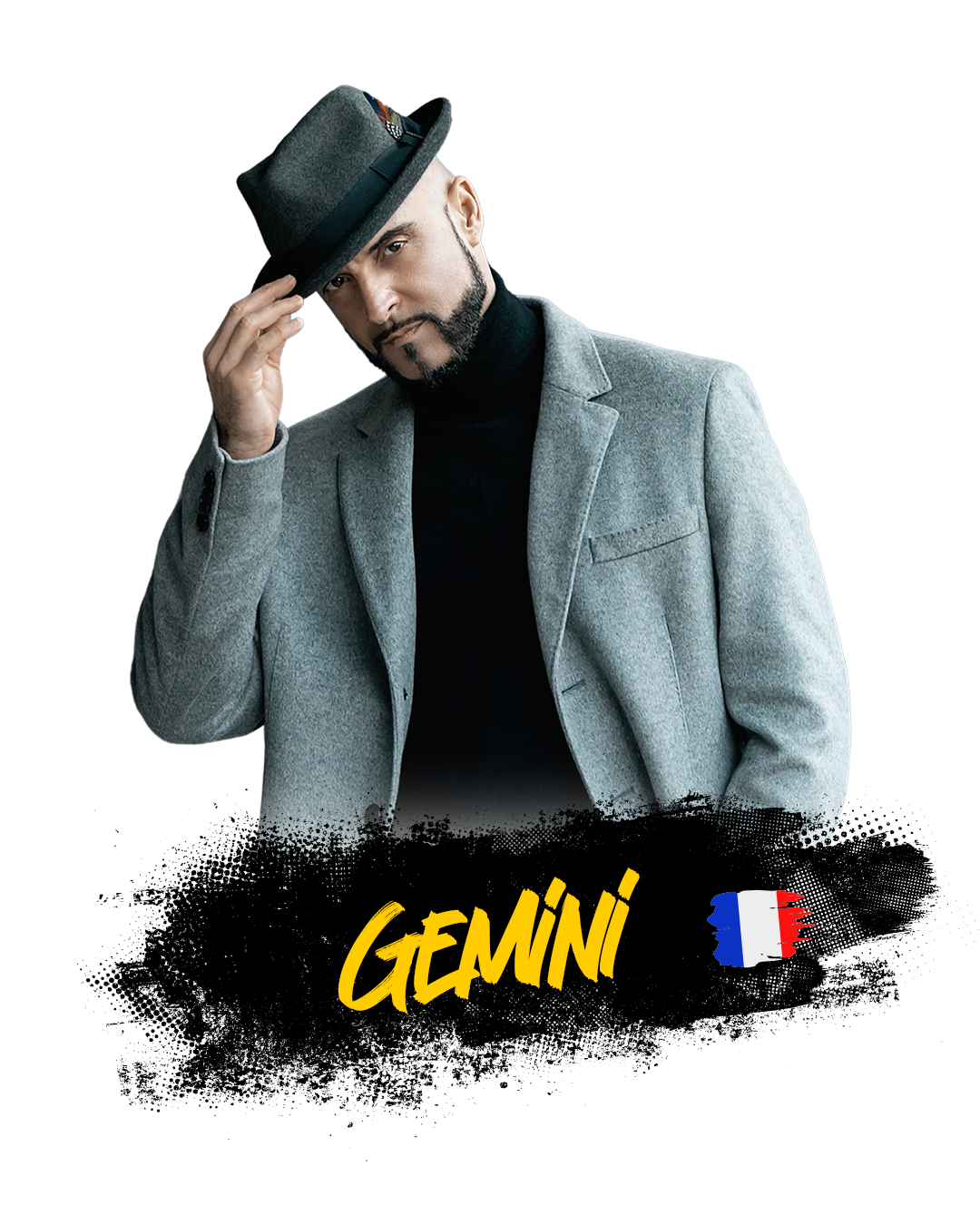 GEMINI